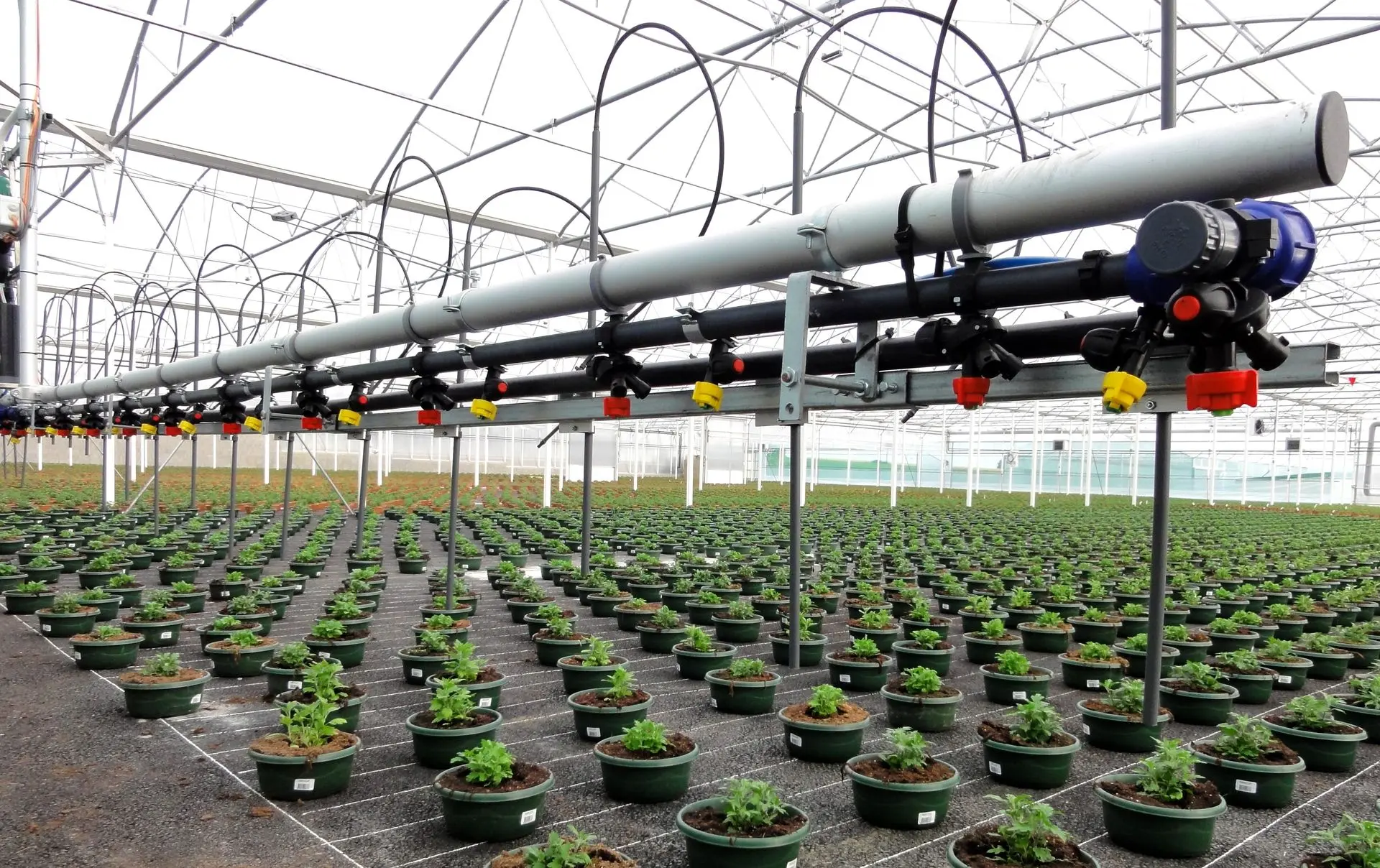 Irrigation