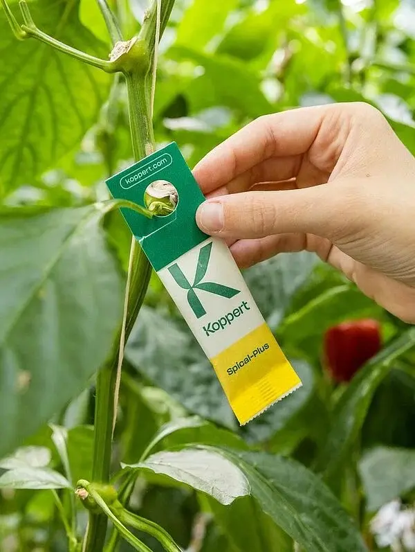 protection des plantes