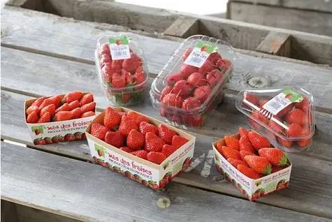 barquettes fruits rouges