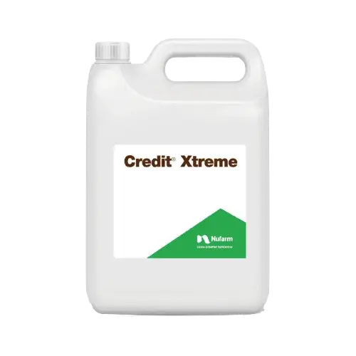 credit xtreme