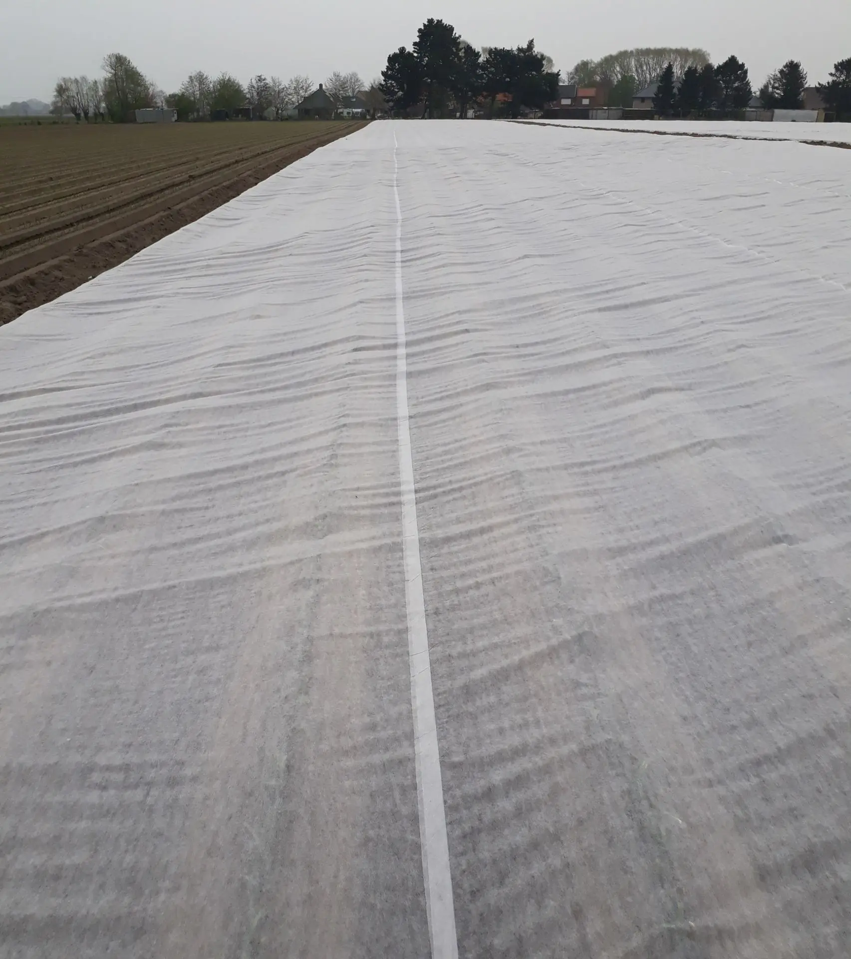 voile de forçage