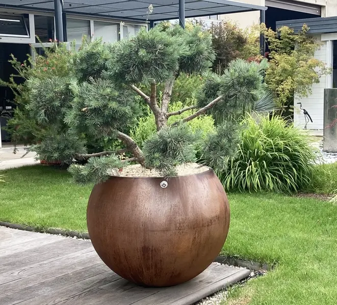 pot de fleurs papi
