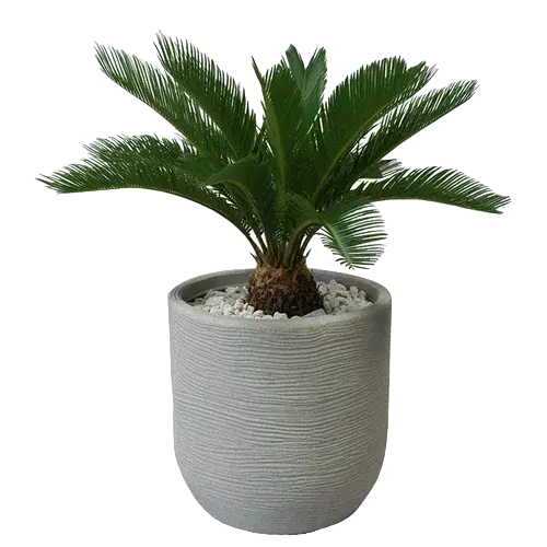 poterie décorative
